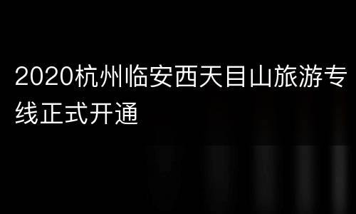 2020杭州临安西天目山旅游专线正式开通