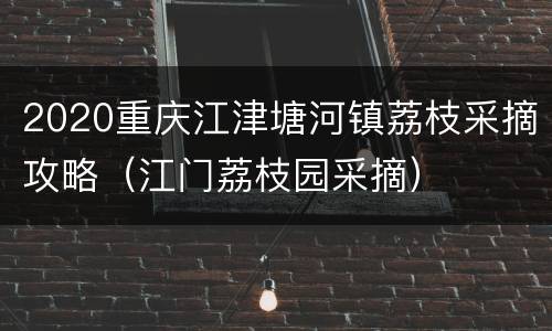 2020重庆江津塘河镇荔枝采摘攻略（江门荔枝园采摘）