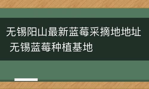 无锡阳山最新蓝莓采摘地地址 无锡蓝莓种植基地