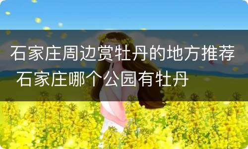石家庄周边赏牡丹的地方推荐 石家庄哪个公园有牡丹