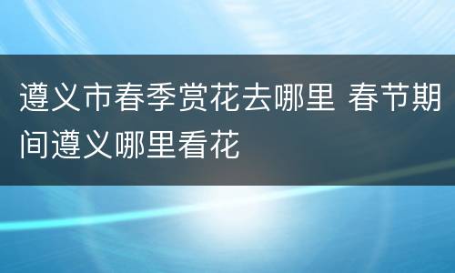 遵义市春季赏花去哪里 春节期间遵义哪里看花