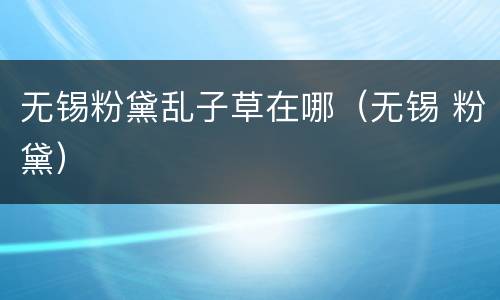 无锡粉黛乱子草在哪（无锡 粉黛）