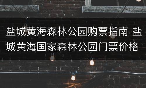 盐城黄海森林公园购票指南 盐城黄海国家森林公园门票价格