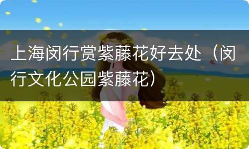 上海闵行赏紫藤花好去处（闵行文化公园紫藤花）