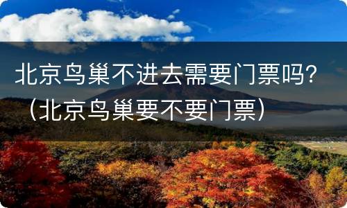 北京鸟巢不进去需要门票吗？（北京鸟巢要不要门票）