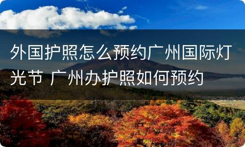 外国护照怎么预约广州国际灯光节 广州办护照如何预约