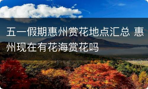 五一假期惠州赏花地点汇总 惠州现在有花海赏花吗