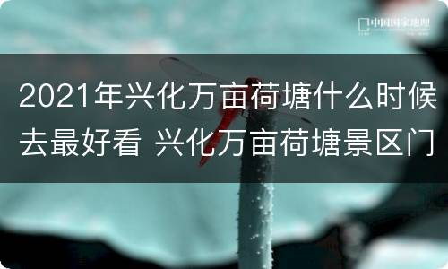 2021年兴化万亩荷塘什么时候去最好看 兴化万亩荷塘景区门票