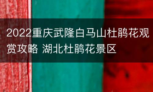 2022重庆武隆白马山杜鹃花观赏攻略 湖北杜鹃花景区