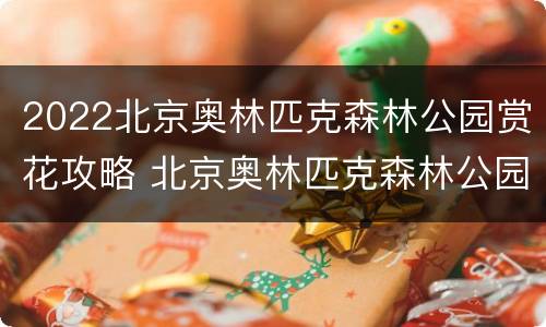 2022北京奥林匹克森林公园赏花攻略 北京奥林匹克森林公园花海