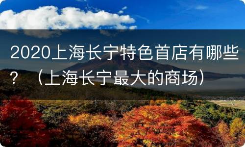 2020上海长宁特色首店有哪些？（上海长宁最大的商场）