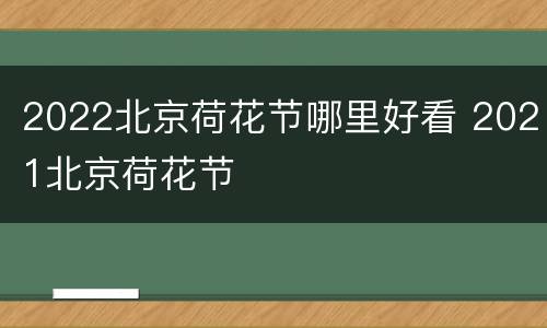 2022北京荷花节哪里好看 2021北京荷花节