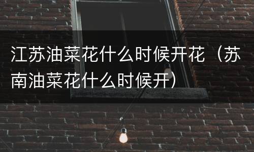 江苏油菜花什么时候开花（苏南油菜花什么时候开）