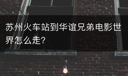 苏州火车站到华谊兄弟电影世界怎么走？