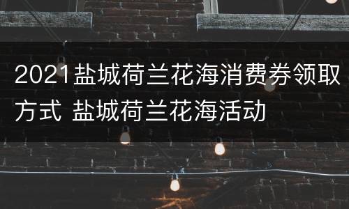 2021盐城荷兰花海消费券领取方式 盐城荷兰花海活动