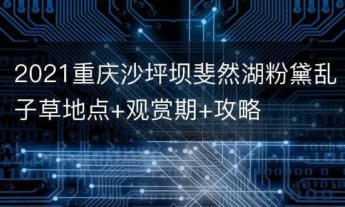 2021重庆沙坪坝斐然湖粉黛乱子草地点+观赏期+攻略