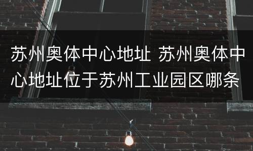 苏州奥体中心地址 苏州奥体中心地址位于苏州工业园区哪条道路