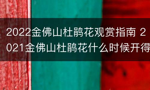 2022金佛山杜鹃花观赏指南 2021金佛山杜鹃花什么时候开得最茂盛
