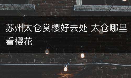 苏州太仓赏樱好去处 太仓哪里看樱花