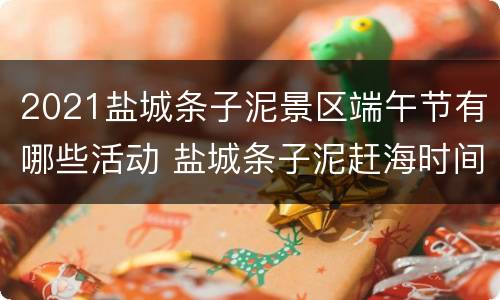 2021盐城条子泥景区端午节有哪些活动 盐城条子泥赶海时间