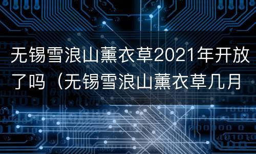 无锡雪浪山薰衣草2021年开放了吗（无锡雪浪山薰衣草几月份开）
