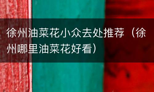 徐州油菜花小众去处推荐（徐州哪里油菜花好看）
