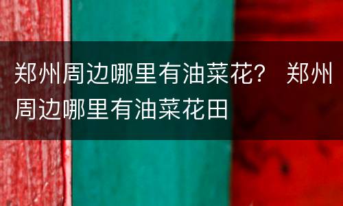 郑州周边哪里有油菜花？ 郑州周边哪里有油菜花田