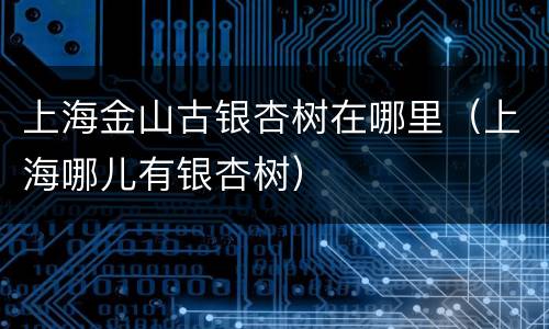 上海金山古银杏树在哪里（上海哪儿有银杏树）