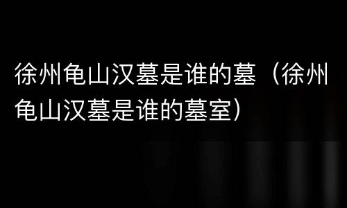 徐州龟山汉墓是谁的墓（徐州龟山汉墓是谁的墓室）