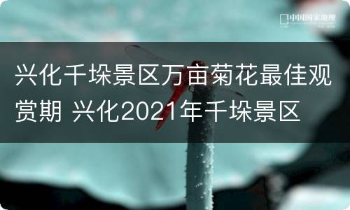 兴化千垛景区万亩菊花最佳观赏期 兴化2021年千垛景区