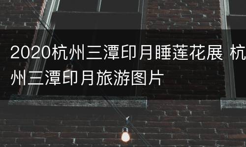 2020杭州三潭印月睡莲花展 杭州三潭印月旅游图片