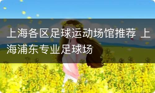 上海各区足球运动场馆推荐 上海浦东专业足球场
