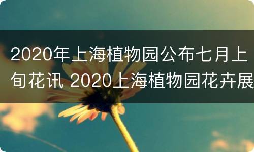 2020年上海植物园公布七月上旬花讯 2020上海植物园花卉展