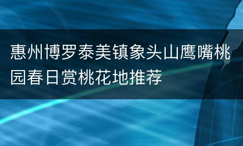 惠州博罗泰美镇象头山鹰嘴桃园春日赏桃花地推荐