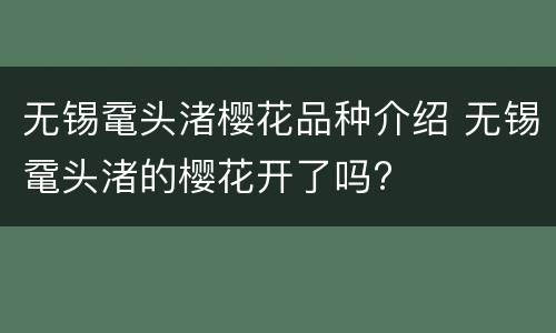 无锡鼋头渚樱花品种介绍 无锡鼋头渚的樱花开了吗?