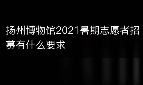 扬州博物馆2021暑期志愿者招募有什么要求