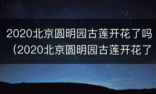 2020北京圆明园古莲开花了吗（2020北京圆明园古莲开花了吗图片）