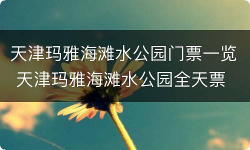 天津玛雅海滩水公园门票一览 天津玛雅海滩水公园全天票