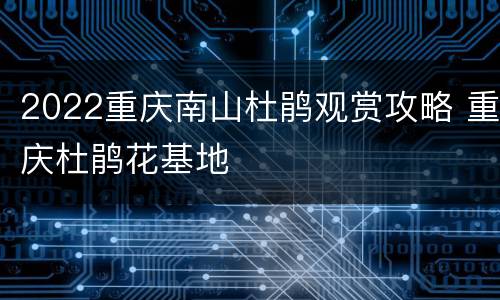 2022重庆南山杜鹃观赏攻略 重庆杜鹃花基地