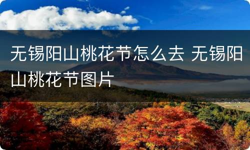 无锡阳山桃花节怎么去 无锡阳山桃花节图片