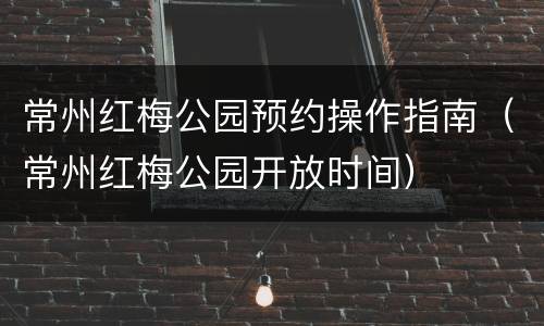 常州红梅公园预约操作指南（常州红梅公园开放时间）