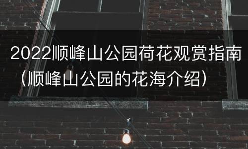 2022顺峰山公园荷花观赏指南（顺峰山公园的花海介绍）