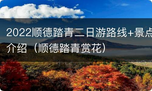 2022顺德踏青二日游路线+景点介绍（顺德踏青赏花）