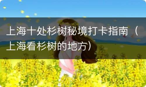 上海十处杉树秘境打卡指南（上海看杉树的地方）