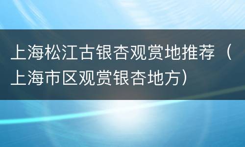 上海松江古银杏观赏地推荐（上海市区观赏银杏地方）