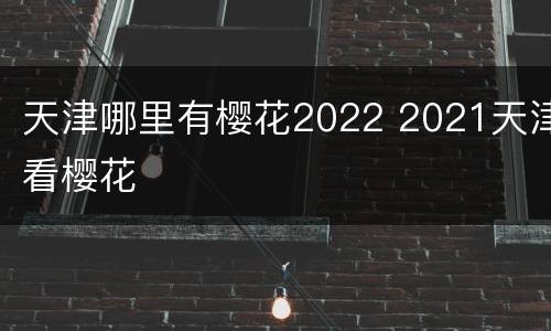 天津哪里有樱花2022 2021天津看樱花