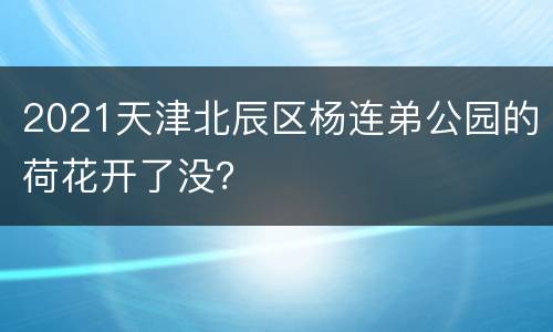 2021天津北辰区杨连弟公园的荷花开了没？
