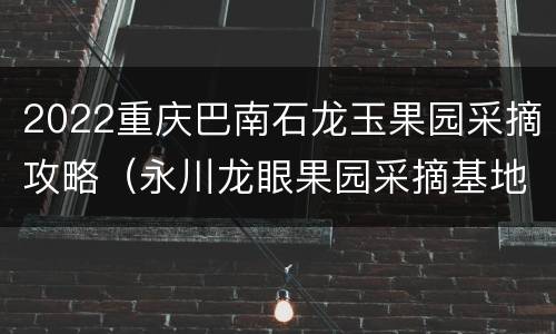 2022重庆巴南石龙玉果园采摘攻略（永川龙眼果园采摘基地）