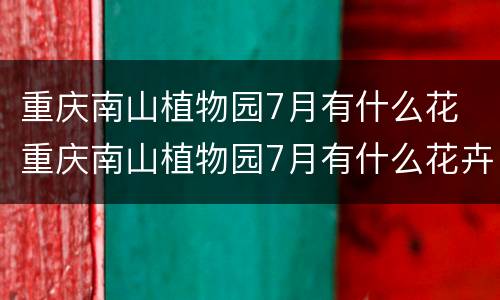 重庆南山植物园7月有什么花 重庆南山植物园7月有什么花卉多吗?