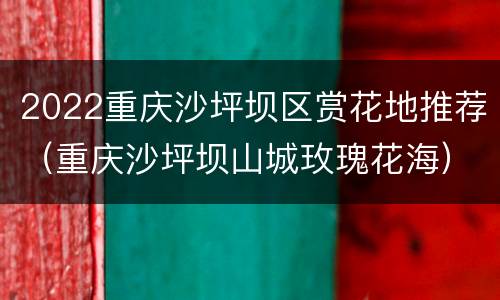 2022重庆沙坪坝区赏花地推荐（重庆沙坪坝山城玫瑰花海）